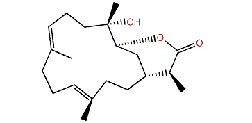 Ent-sinuflexibilin D